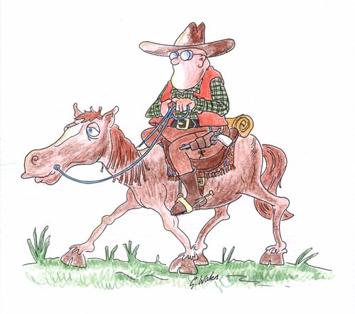 Cowboy on horse