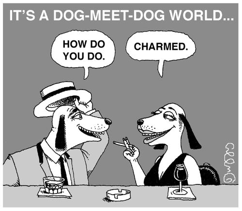 It's a dog meet dog world...