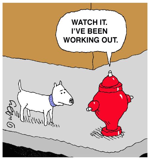 'Watch it. I've been working out.'