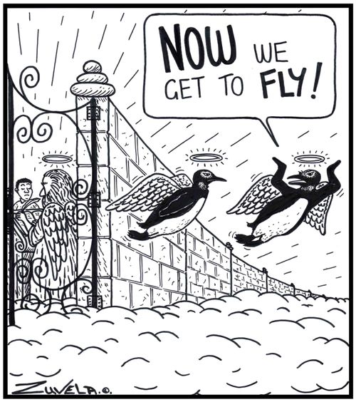 Penguin: 'NOW we get to FLY!' 