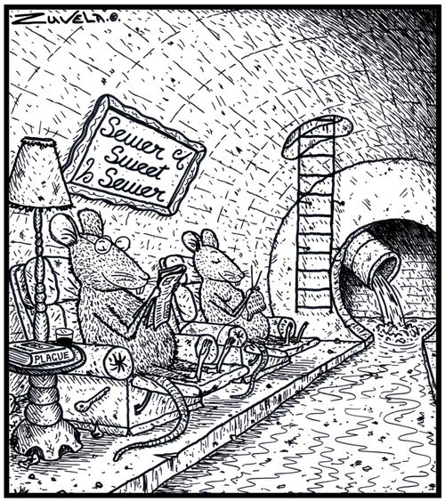 A Rat couple at Home in a Sewer with their version of 'Home Sweet Home' on the wall