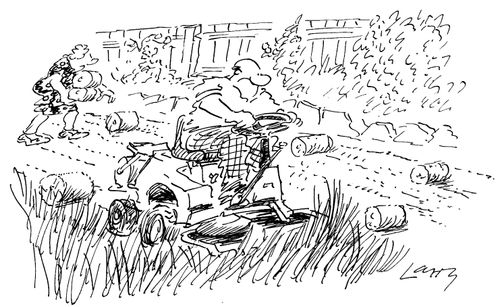 Mowing the lawn