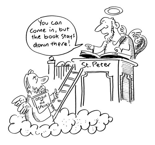 St. Peter to Darwin - "You can come in, but the book stays down there."