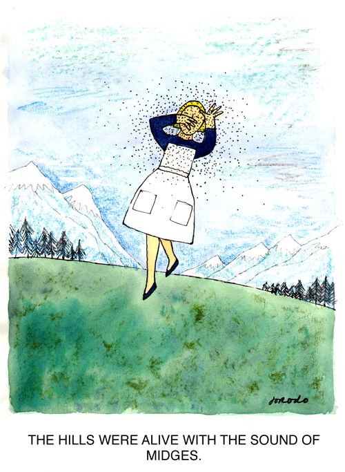 The hills were alive with the sound of midges