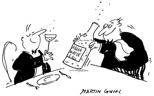 Wine taster with mineral water
