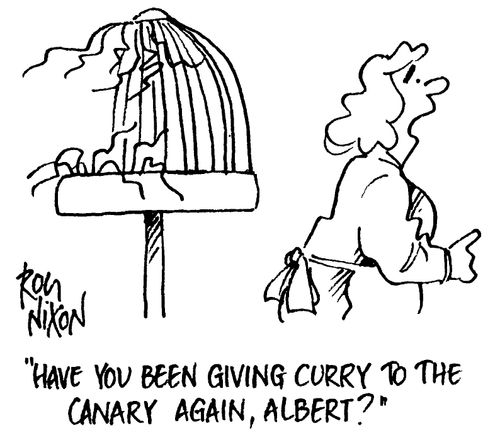 "Have you been giving curry to the canary again?"
