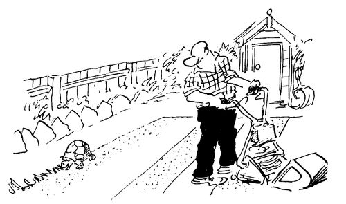 Trained tortoise