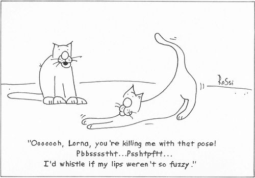 Cat-traction.....!