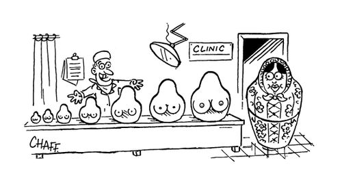 Russian doll deciding on what size breast implants to get.