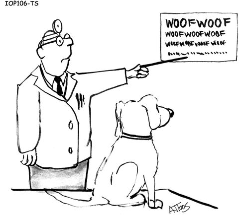 WOOF WOOF EYE CHART