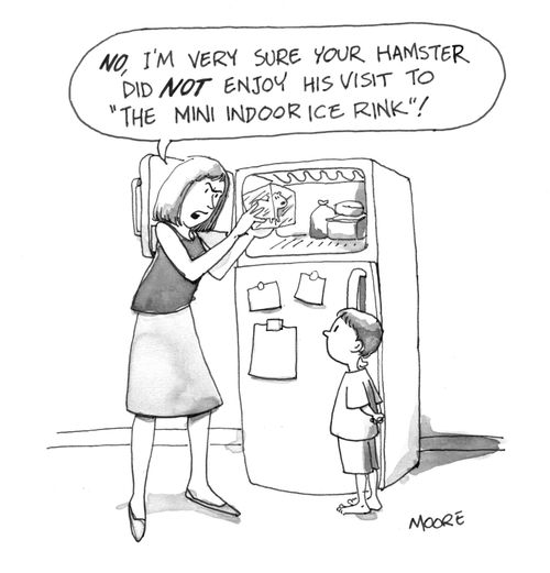 No, I'm very sure your hamster did NOT enjoy his visit to 'the mini indoor ice rink'!
