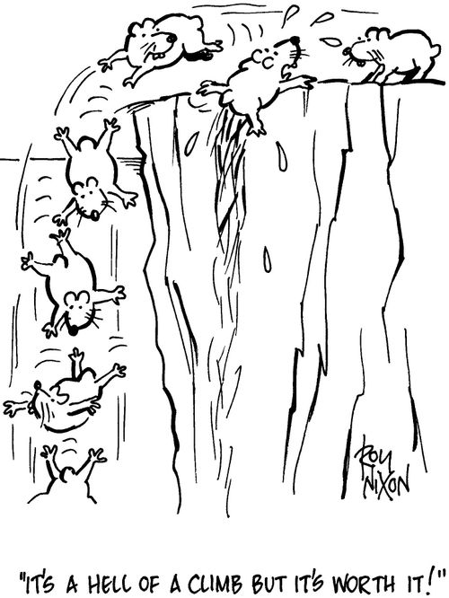 'It's a hell of a climb  but it's worth it!'