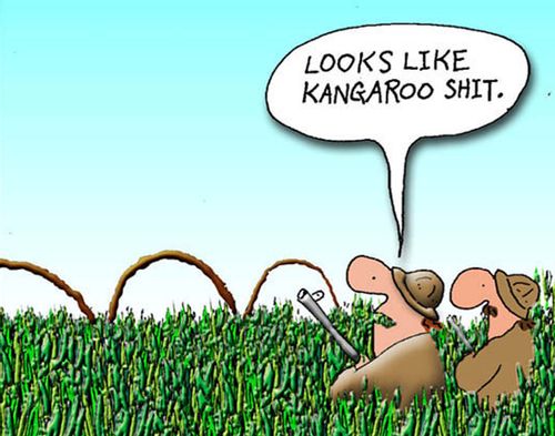 Kangaroo Shit