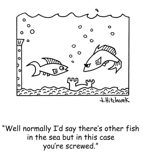 'Well normally I'd say there's other fish in the sea but in this case you're screwed.'
