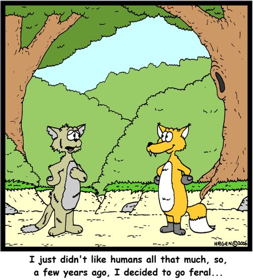 'I just didn't like humans all that much, so, a few years ago, I decided to go feral...'