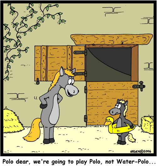 'Polo dear, we're going to play Polo, not Water-Polo...'