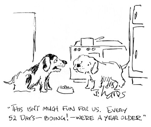 'This isn't much fun for us.  Every 52 days - boing - we're a year older.'