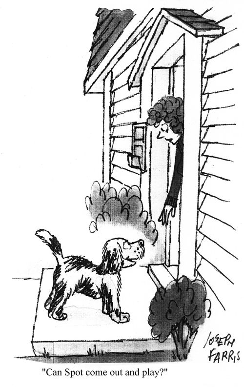 'Can Spot come out and play?'