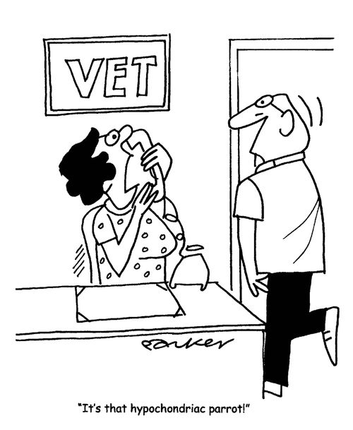'It's that hypochondriac parrot!'