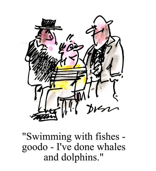 'Swimming with fishes - goodo - I've done whales and dolphins.'