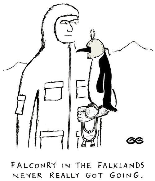 Falconry in the Falklands never really got going.