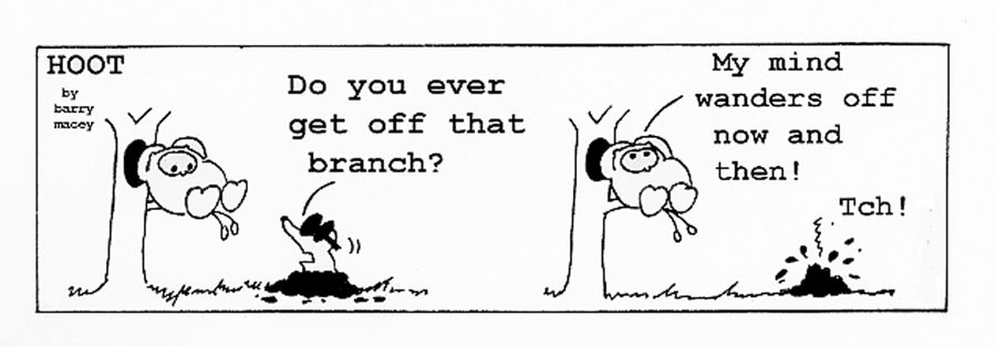 "Do you ever get off that branch?"