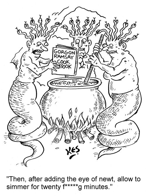 'Then, after adding the eye of newt, allow to simmer for twenty f*****g minutes.'