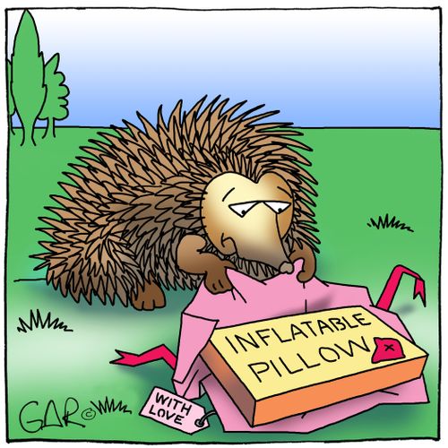 Hedgehog opening a present - an inflatable pillow 