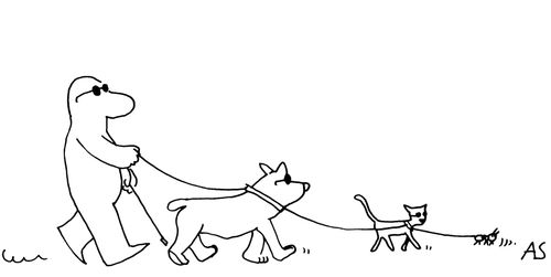 'Blind leading the blind'