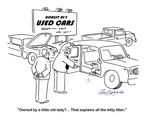'Owned by a little old lady?... That explains all the kitty litter.'