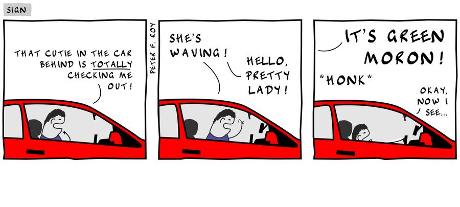 'That cutie in the car behind is totally checking me out!'