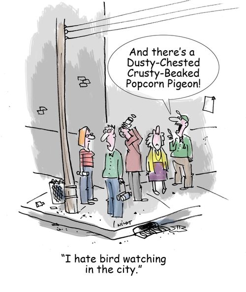 'I hate bird watching in the city.'