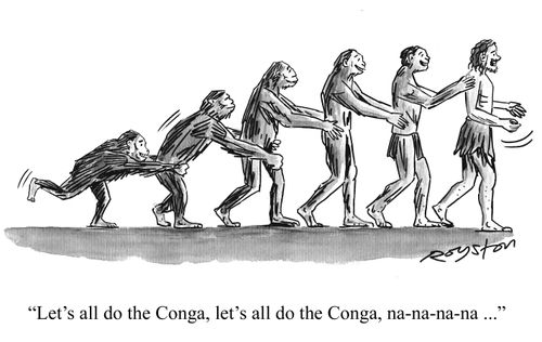 Figures from 'Ascent of Man' diagram all do the Conga: 'Let's all fo the Conga, na-na-na-na ...'