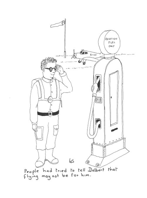 People had tried to tell Delbert that flying may not be for him.