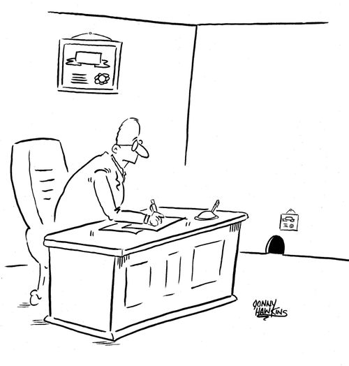 Similar certificate above mouse hole in man's office