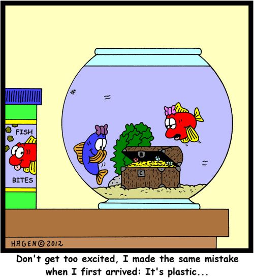 'Don't get too excited, I made the same mistake when I first arrived: It's plastic...'