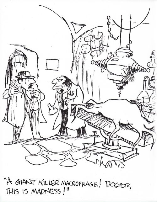 'A giant killer macrophage! Doctor, this is madness!'