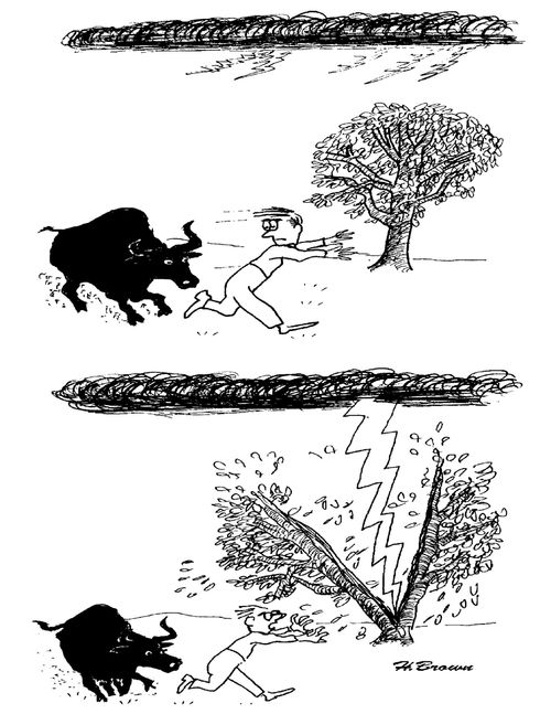 A man being chased by a bull finds his only safe haven hit by lightening.