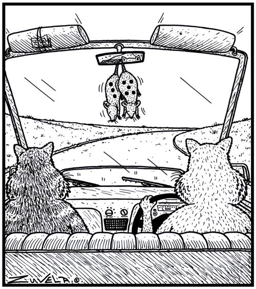 Mice air fresheners in a car.