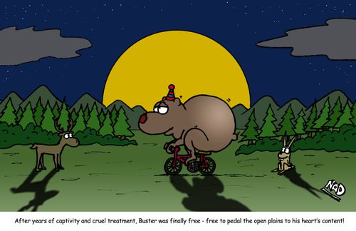 After years of captivity and cruel treatment, Buster was finally free - free to pedal the open plains to his heart's content!