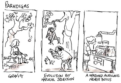 Paradigms: Gravity - Evolution by natural selection - A watched autoclave never boils.