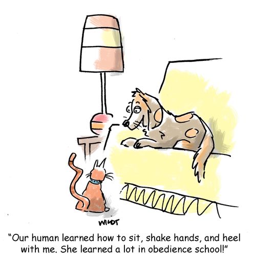 'Our human learned how to sit, shake hands, and heel with me. She learned a lot in obedience school!'