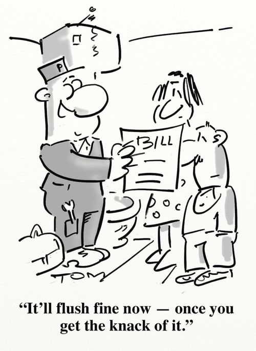 'It'll flush fine now - once you get the knack of it.'