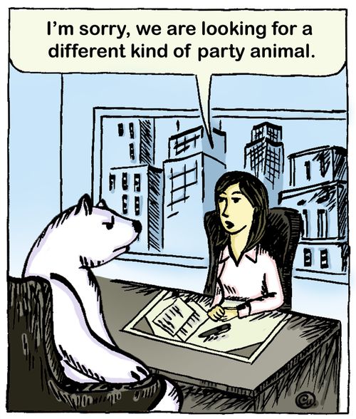 'I'm sorry, we are looking for a different kind of party animal.'