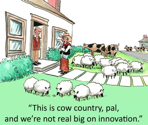 'This is cow country, pal, and we're not real big on innovation.'