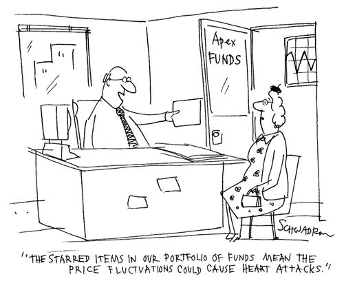 The starred item in our portfolio of funds mean the price fluctuations could cause heart attacks.