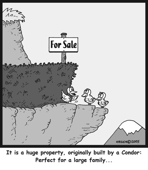 'It is a huge property, originally built by a Condor: Perfect for a large family...'