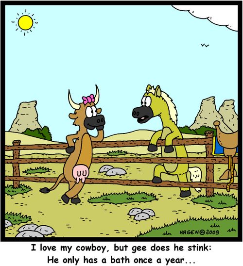'I love my cowboy, but gee does he stink: He only has a bath once a year...'
