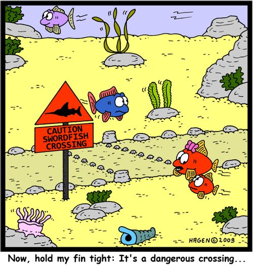 'Now, hold my fin tight: It's a dangerous crossing...'