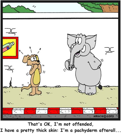 'That's OK, I'm not offended, I have a pretty thick skin: I'm a pachyderm after all...'